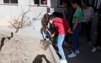 Huerto Escolar 4 Iniciamos la fabricación del bancal