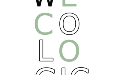 Elaboración del logotipo