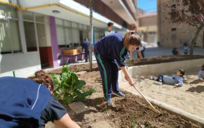 Abonamos y acondicionamos el terreno