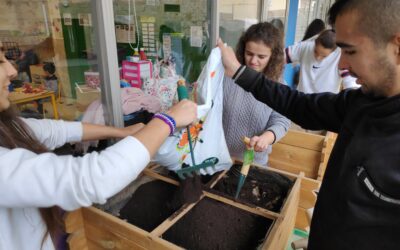 Preparamos el huerto para la próxima temporada