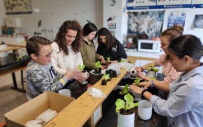 Mantenimiento de nuestras plantas