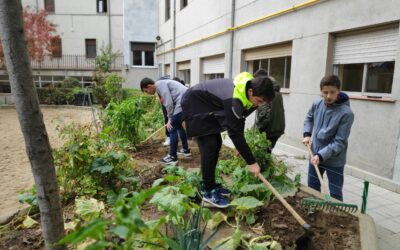 Eliminamos las malas hierbas