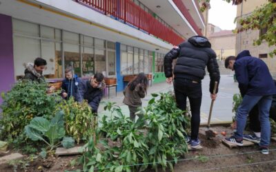 Nuestros cultivos han terminado su ciclo