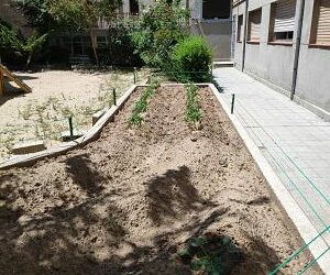 Plantación de emergencia