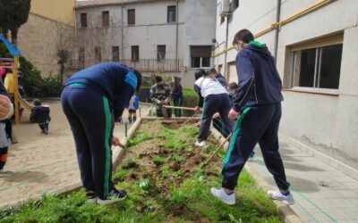Preparación del huerto