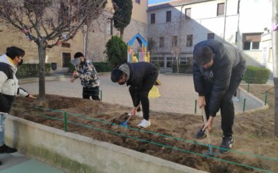 Abonado, alimento para nuestras plantas