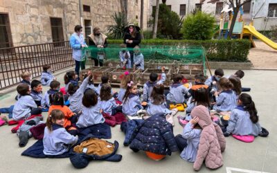 Huerto Escolar 4 La primavera en nuestro cuerpo
