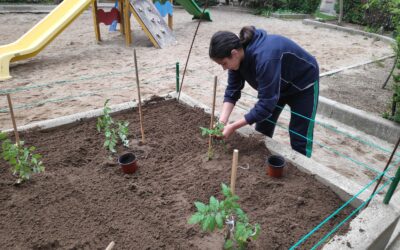 Huerto Escolar 3 Continuamos la plantación
