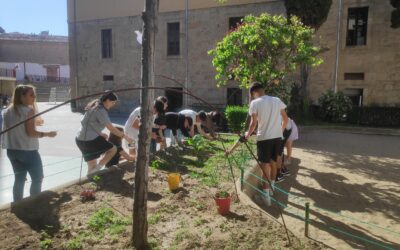 Huerto Escolar 1 Limpieza y cuidados
