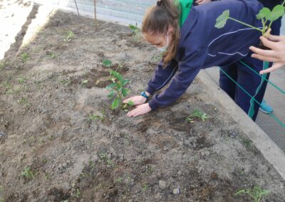 Plantacion 6 5 6 scaled 1
