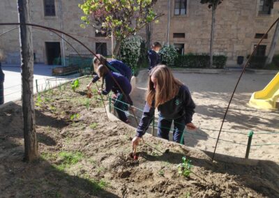 Plantacion 6 5 8 scaled 1