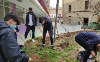 Huerto Escolar 5 Sembrado y preparación del terreno