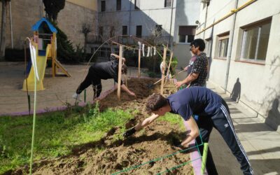 Huerto Escolar 10 Preparación inicial