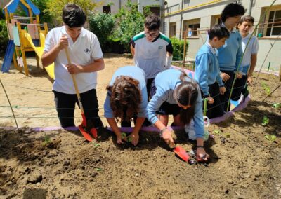 Primeras plantaciones 1 scaled 1