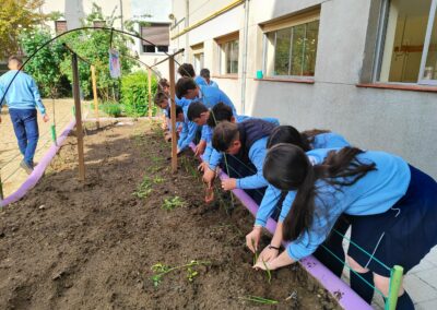 Primeras plantaciones 14 scaled 1