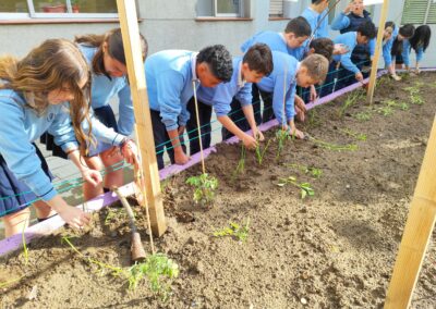 Primeras plantaciones 21 scaled 1
