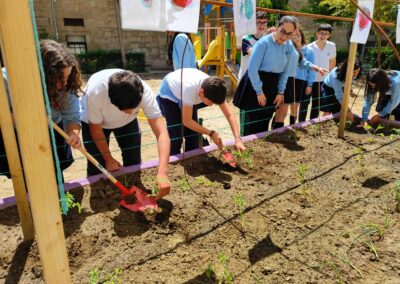 Primeras plantaciones 30 scaled 1