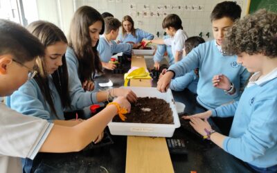 Huerto Escolar 6 Siembra en el laboratorio