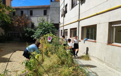 Huerto Escolar 4 Iniciamos las labores de preparación del huerto