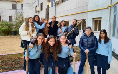 Huerto Escolar 3 Eliminación del ciruelo del huerto