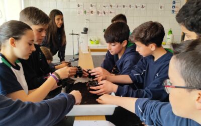 Huerto Escolar 8 Taller de siembra
