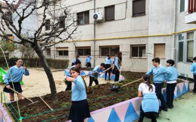 Huerto Escolar 7 Comenzamos una nueva temporada en el huerto escolar