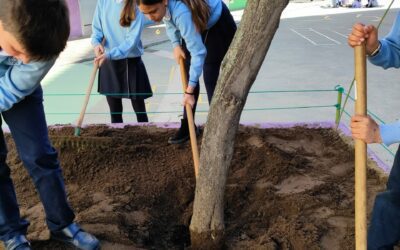 Huerto Escolar 6 Una tarea necesaria para el cuidado del huerto