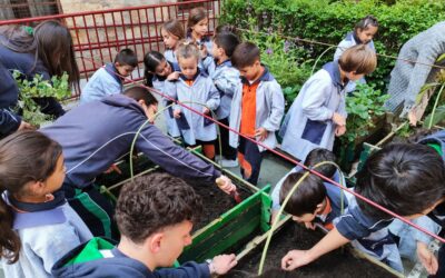 Taller de siembra y plantación con Infantil