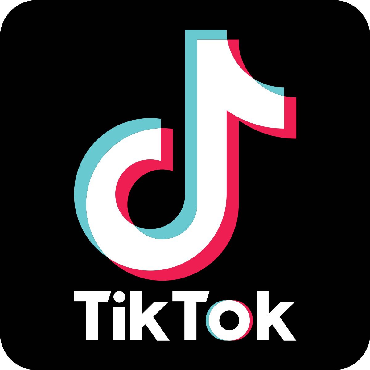 En familia 11 tiktok