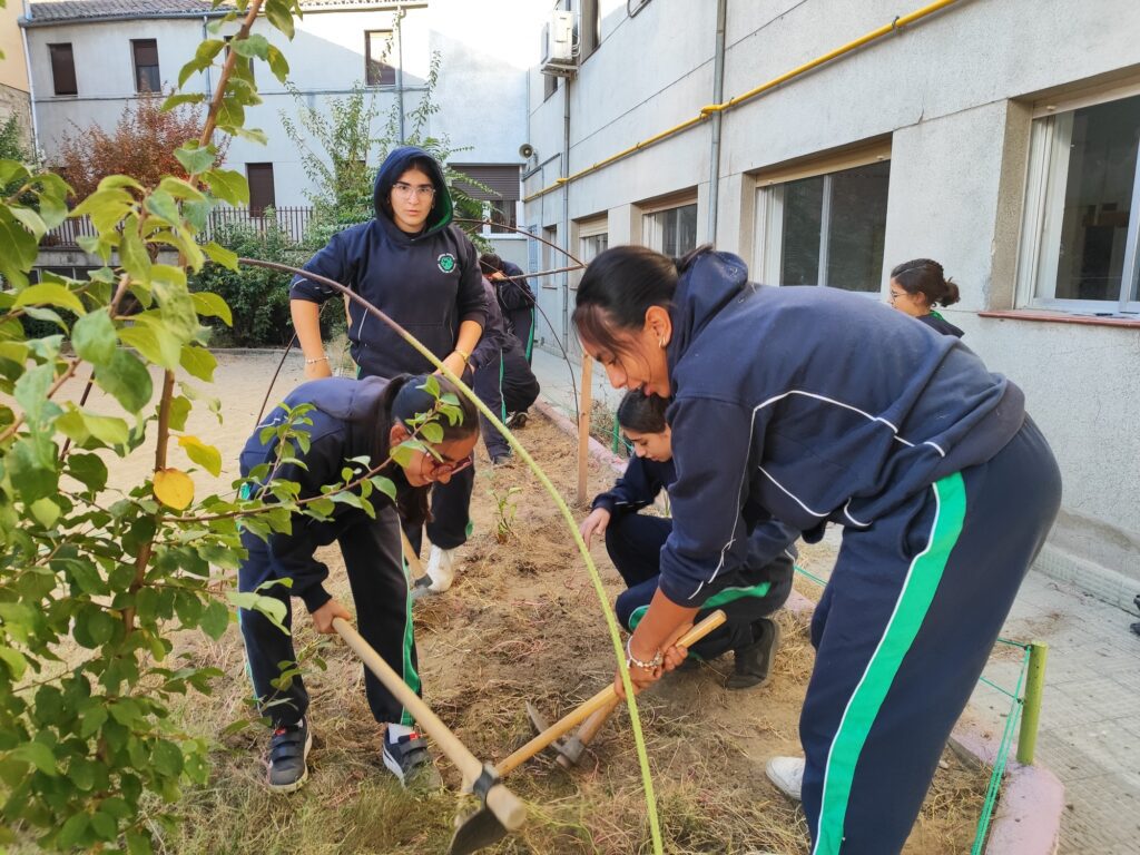 El huerto escolar se pone en marcha en el nuevo curso 1 Huerto 25 26 3