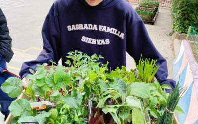 Nuevos plantones para seguir dando vida al huerto escolar
