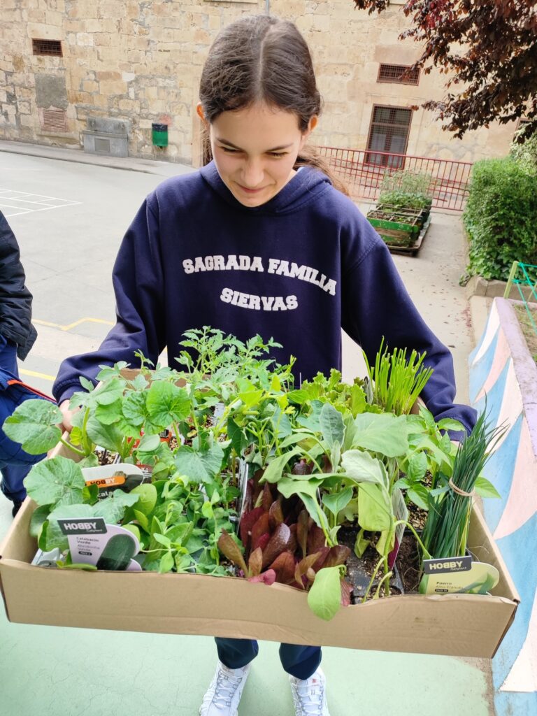 Nuevos plantones para seguir dando vida al huerto escolar 1 Huerto 25 26 13