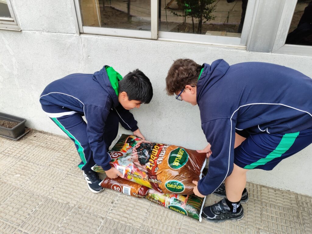 Preparamos la tierra con humus de lombriz 1 Huerto 25 26 15