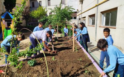 El huerto escolar empieza a tomar forma