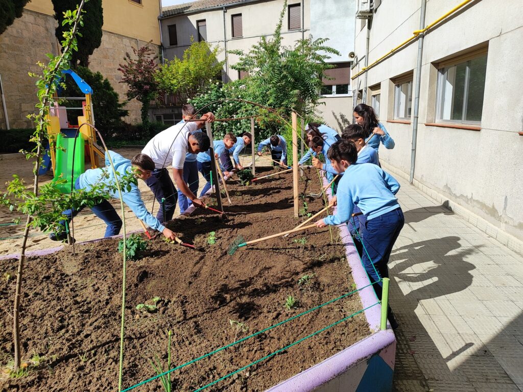 El huerto escolar empieza a tomar forma 1 Huerto 25 26 29 1